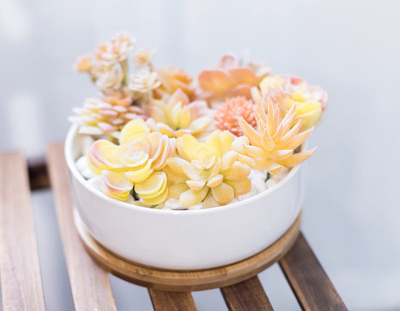 LANKER 6.3 Inch Round White Ceramic Succulent Planter Pot Decorative Cactus Plant Pot Flower Container with Bamboo Tray (Round 6.3Inch) - Image 3